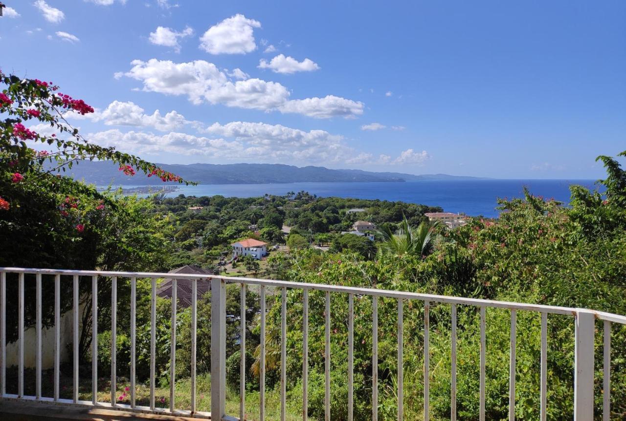 Montego Bay Garden Studio Exteriér fotografie
